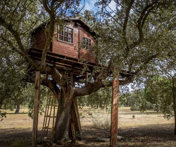 Construire une cabane dans les arbres : Le guide étape par étape