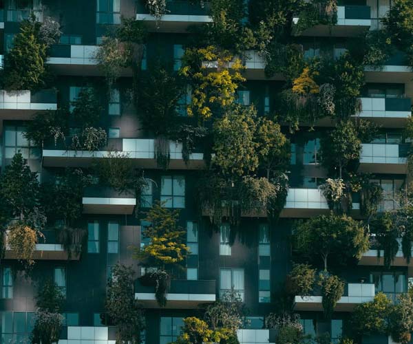 6 idées pour transformer votre balcon en oasis urbaine