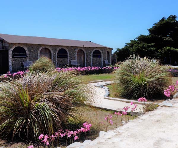 Comment aménager un jardin méditerranéen ?